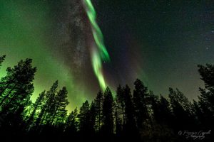 Lady Aurora and the Milkyway